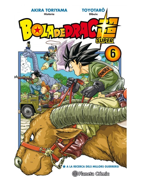 Bola de Drac Super nº 06